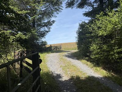 Picture 43